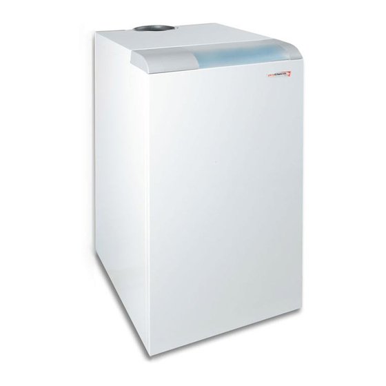 Protherm 20 KLO Instructions For Use And Installation