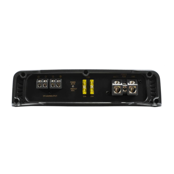 Phoenix Gold RX2 500.1 Owner's Manual