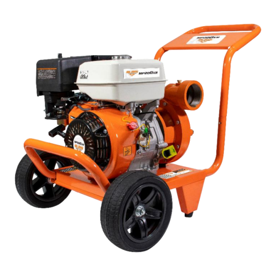 Ruris MP 300XR Manual