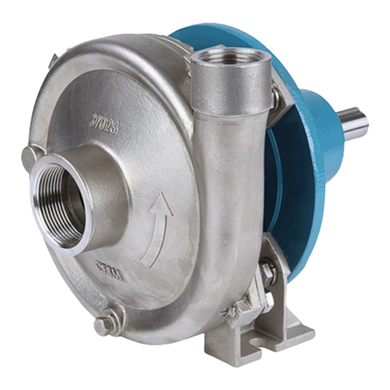 Ingersoll-Rand MP PUMPS CHEMFLO 1 Operator's Manual