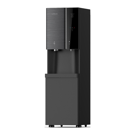 Wellsys i12 Manual