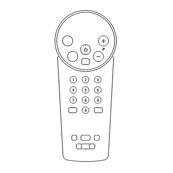Philips 21PT135A Information For Users