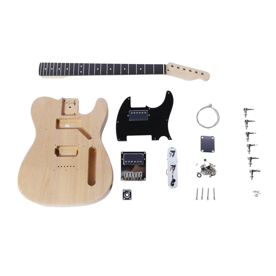 Artist Guitars TL DIY KIT Manual