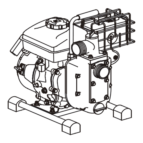 IBEA IB-MP 25 Manuals