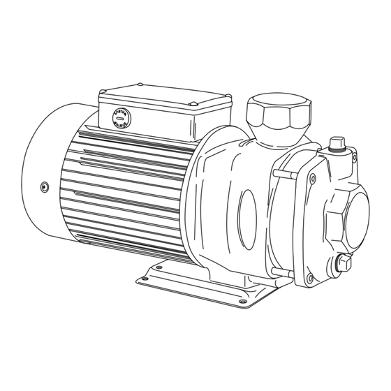 Walrus Pump TPH Series Instruction Manual