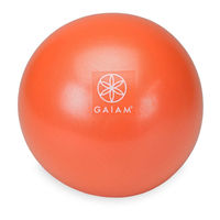 Gaiam WELLBEING CORE & BACK STRENGTH BALL Setup, Workout Tips And Care & Safety Manual