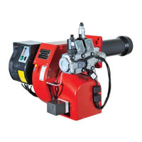 Ecoflam BLU 250 P Manual