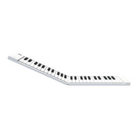 Carry-on CARRY-ON-FOLDING-PIANO-88 Owner's Manual