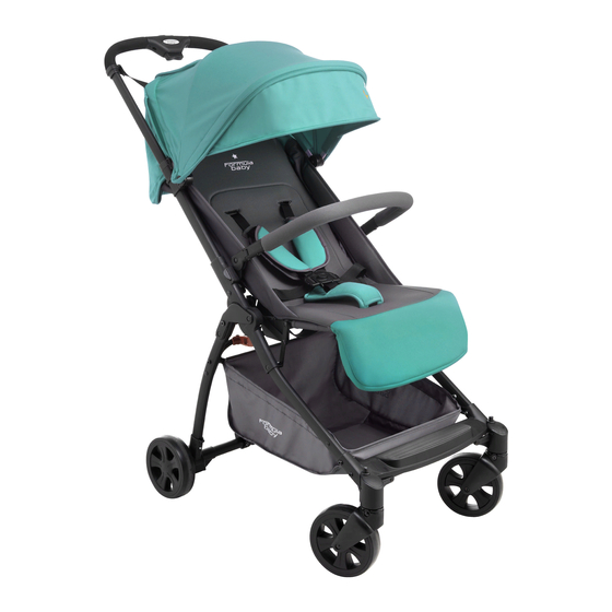 Formula baby CANNE FLIPPER Instructions For Use Manual