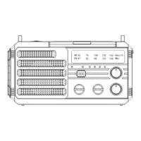 Raddy SW10 User Manual