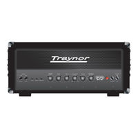 Traynor YBA300 Manual