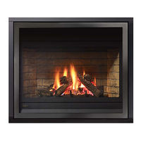Regency Fireplace Products Bellavista B41XTE Owners & Installation Manual