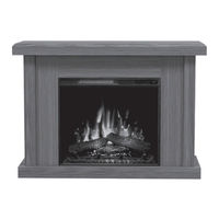Bold Flame ASINZIA User Manual