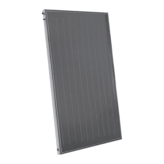 Riello CSAL 20 RS Installation Instructions Manual