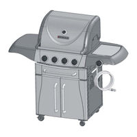 Perfect Flame 225152 Owner's Manual