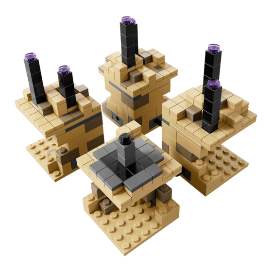 LEGO 21107 Manual