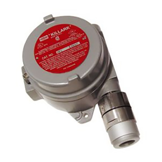 RKI Instruments 65-2435RK Operator's Manual