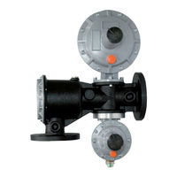 PIETRO FIORENTINI Dival SQD-1 Technical Manual
