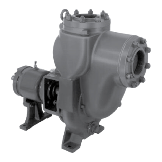MP PUMPS FLOMAX 40 Series Instruction Bulletin