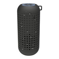 iLive Platinum ISBWV418 User Manual