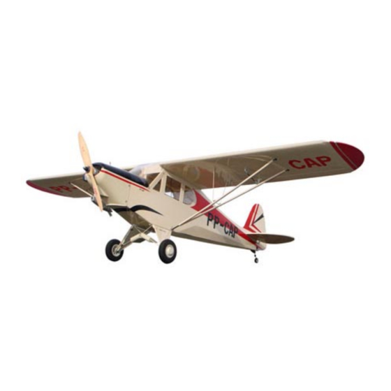 THE WORLD MODELS PAULISTINHA P-56 EP Instruction Manual