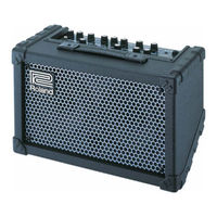 ROLAND CUBE STREET Training Manual