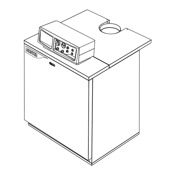 Lamborghini Caloreclima GASTER N 107 AW Instructions For Use, Installation & Maintenance
