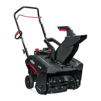 Briggs & Stratton 1697099 Setup Instructions