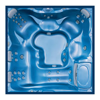 Sundance Spas Camdenl Certa Owner's Manual
