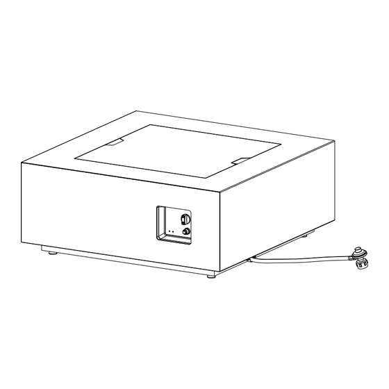 RealFlame Aegean C9812LP Owner's Manual