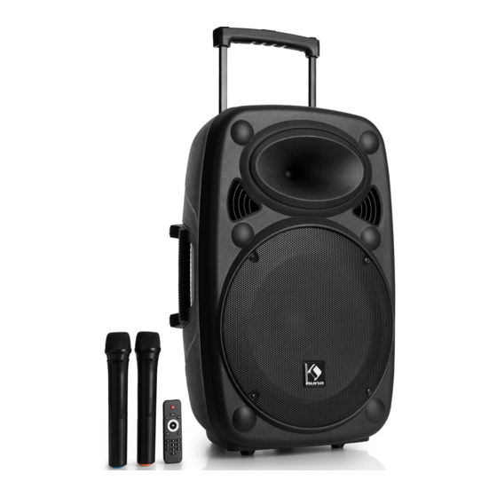 auna Streetstar 12 Mobile PA System Manuals