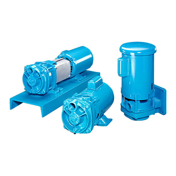MTH PUMPS T41 Series Manual