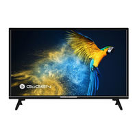 Gogen TVF22M302STWEB Instruction Manual