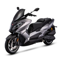 Wottan motor STORM-S 300cc User Manual