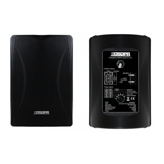 DSPPA DSP8063B Quick Start Manual