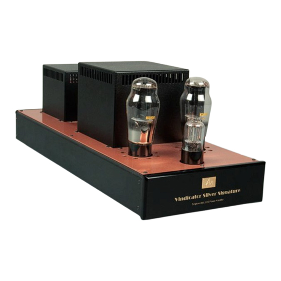 Audio Note VINDICATOR Silver Signature Owner's Information