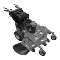 Gravely Pro-walk hydro 48HE PS Owner's/Operator's Manual