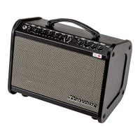 Traynor Acoustic Master Mini Manual