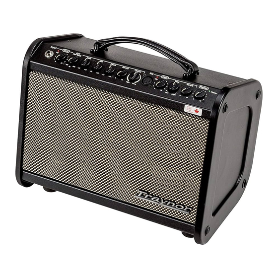 Traynor Acoustic Master Mini Manual