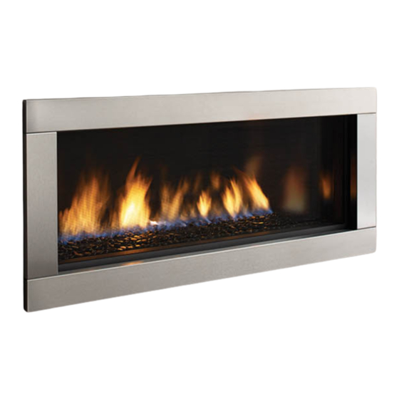 Regency Fireplace Products Horizon HZ40E-NG10 Manuals