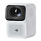 Wanbo T4 Manual