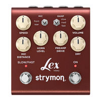 Strymon Lex Product Introduction