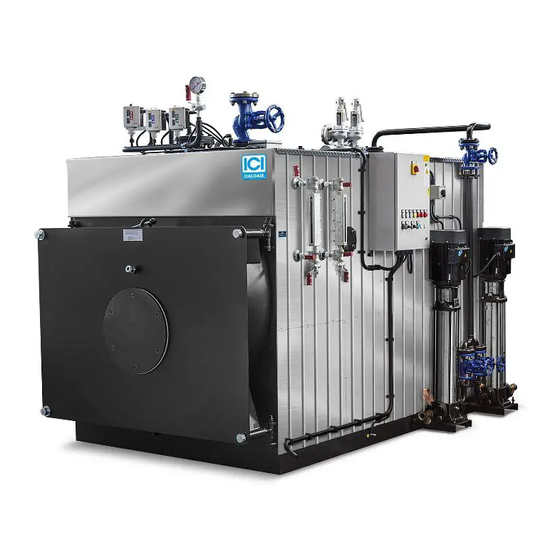 ICI Caldaie SIXEN Installation, Use And Maintenance Manual
