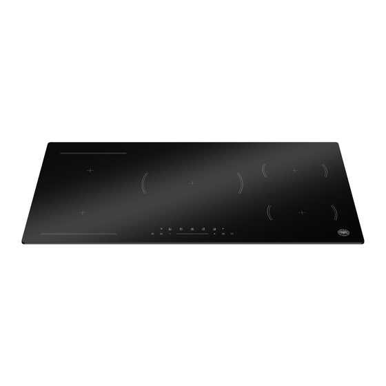 Bertazzoni Professional Series Installation, User And Maintenance Manual