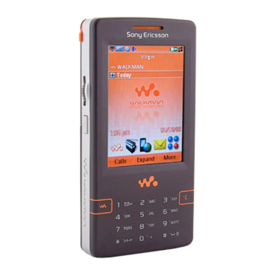 Sony Ericsson W950i Working Instruction, Mechanical
