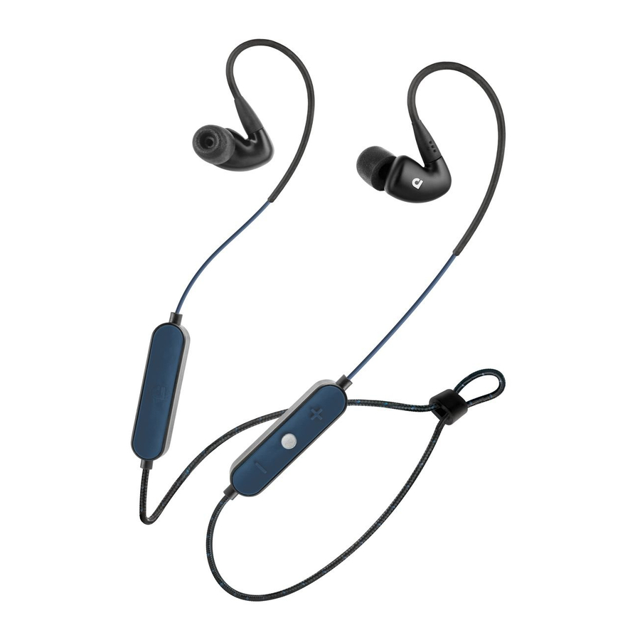 AUDIOFLY AF100W Manual