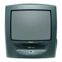 Philips 14PV010 Technical Specifications