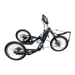 Dyck-Carts Dog Trike KIM Manual