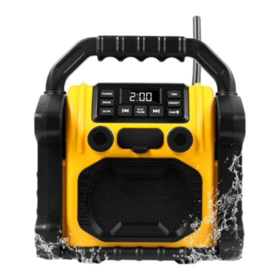 Ruihua P250 Instruction Manual