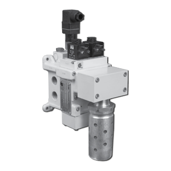 Ross DM1 Series Manual
